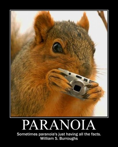 paranoia - squirrel holding camera