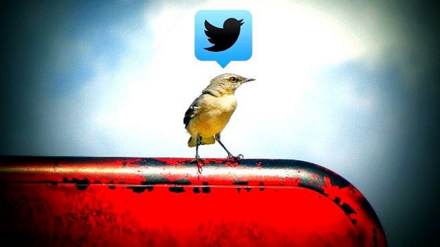 Bird on phone. image-by-uncalno-tekno